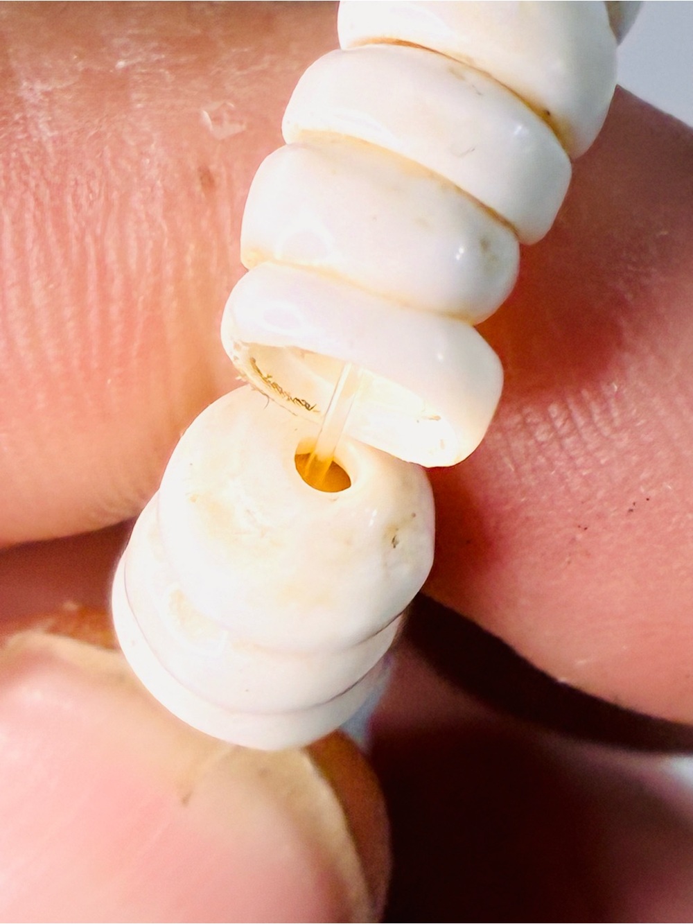 Vintage Hawaiian Cream Puka Shell Surfer Necklace Minimal Everyday Coastal READ - Picture 3 of 12